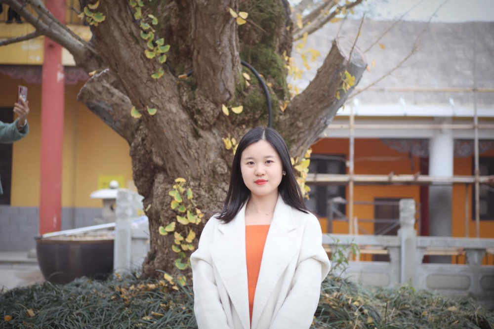 �γ�Ԥ�� | ������һ��2026���У��ѡ�޿�ѡ��ָ��